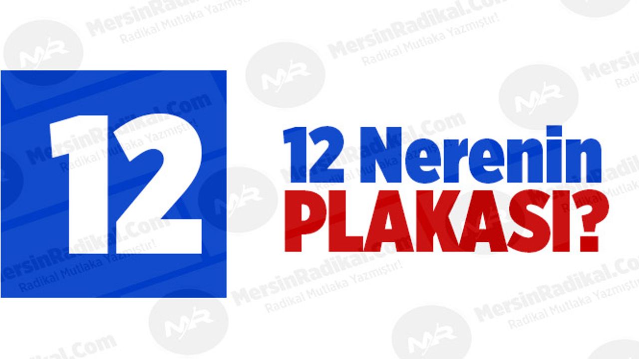 12 Nerenin Plaka Kodu, 12 Plakası, Bingöl'ün Plakası Kaç?