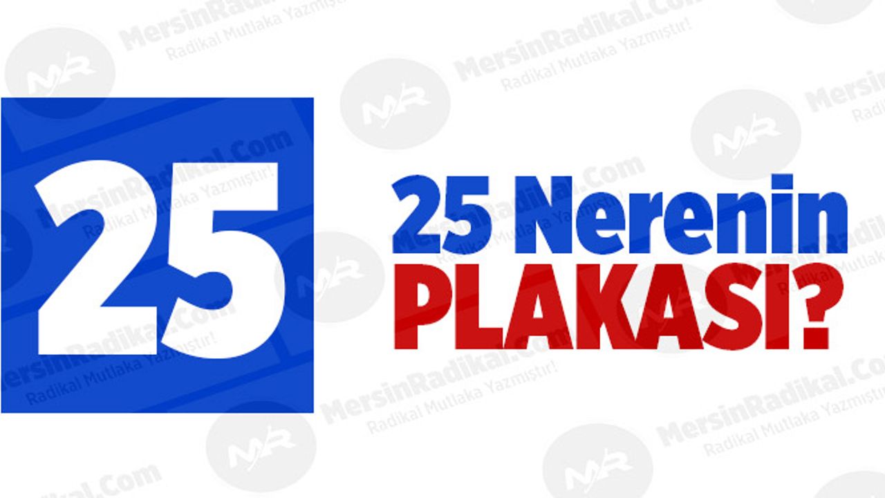 25 Nerenin Plaka Kodu, 25 Plakası, Erzurum’un Plakası Kaç?