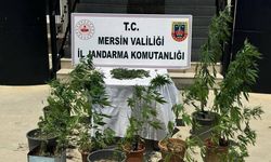 Mersin’de uyuşturucu operasyonu: 2 kişi yakalandı