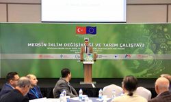 Mersin tarımının geleceğini şekillendirecek eylem planı oluşturuluyor