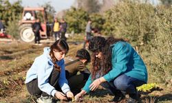 Tarsus’ta 5 bin marul fidesi toprakla buluşturuldu