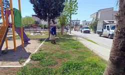 Akdeniz’in yeşil dokusu koruma altında