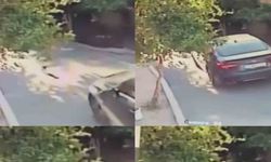 Aracın üzerinden geçtiği köpek telef oldu