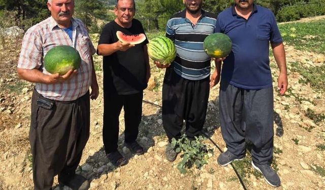 Tarsus’ta yerli tohuma ve üretime dönüş için çağrı