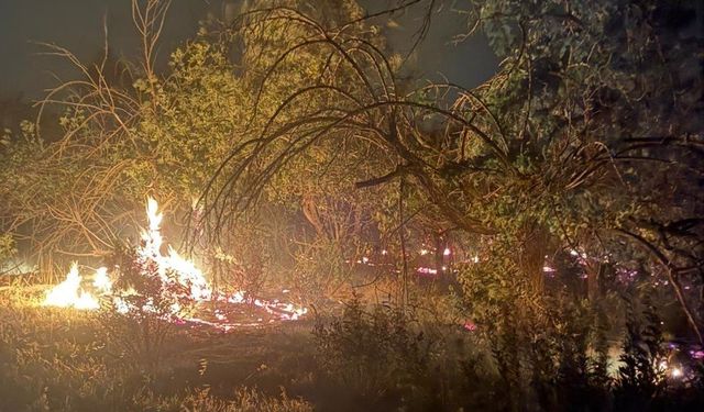 Mersin’de üç noktada çıkan yangın kontrol altına alındı
