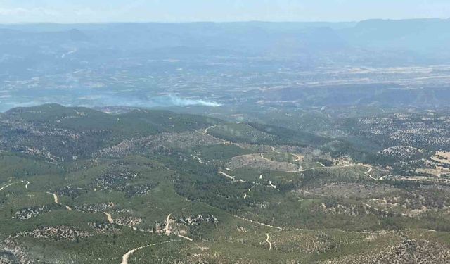 Mersin’de 2 ilçede orman yangını