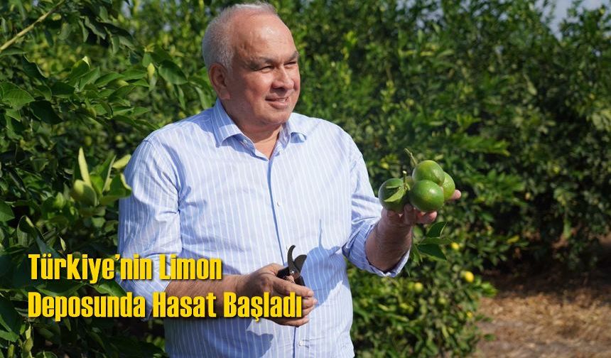 Türkiye’nin Limon Deposunda Hasat Başladı