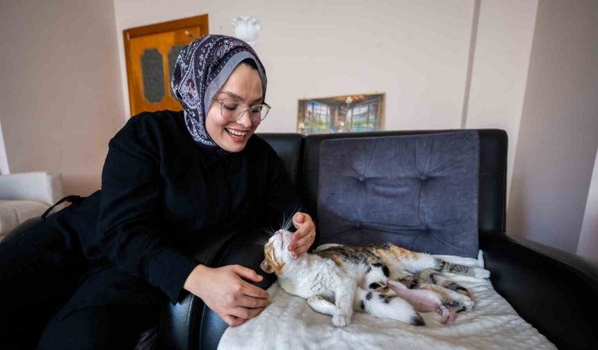 Camiye sığınan kedi ve yavruları yeni yuvasına kavuştu