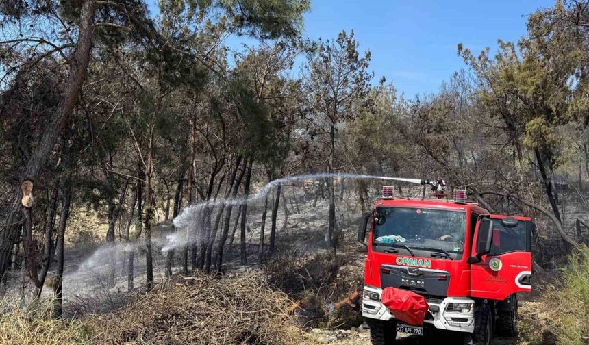 Mersin’de orman yangını: 1,5 hektar alan zarar gördü