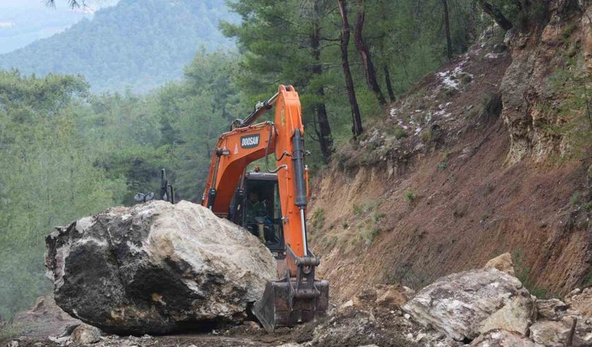 Dev kaya yola düştü, tarım alanları zarar gördü