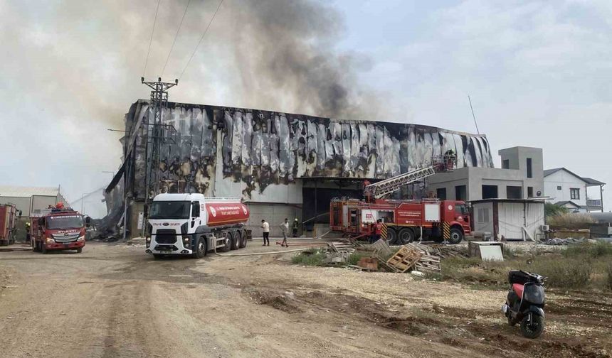 Mersin’de pamuk fabrikası deposunda yangın, ekipler müdahale ediyor