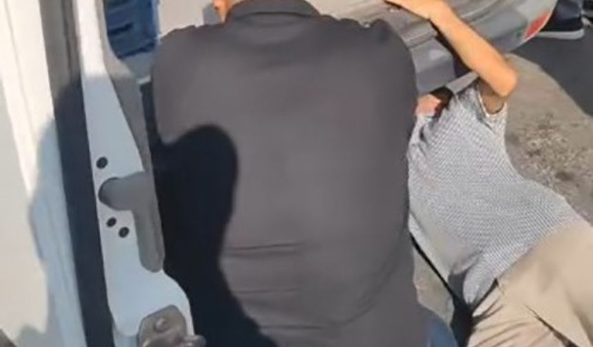 Minibüste yavru kedi kurtarma seferberliği