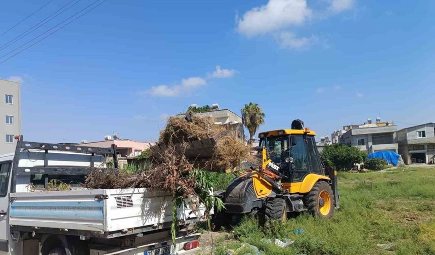 Akdeniz’de moloz ve yabani ot temizliği sürüyor