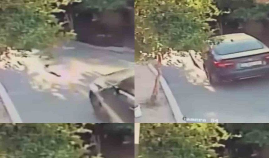 Aracın üzerinden geçtiği köpek telef oldu